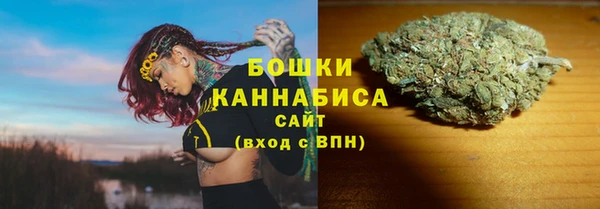 шишки Абаза