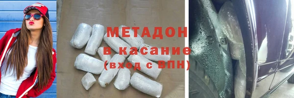 шишки Абаза
