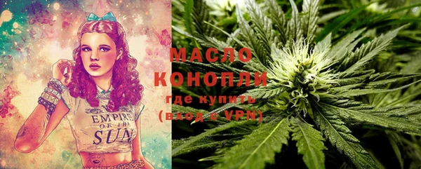 шишки Абаза