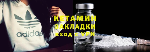 шишки Абаза