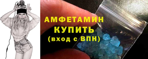 шишки Абаза