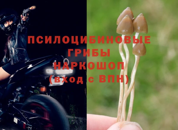 стафф Абдулино